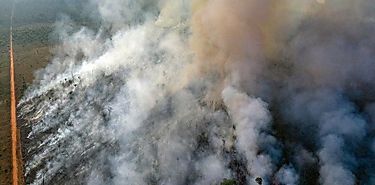 Actividad humana destruy un tercio de la Amazona