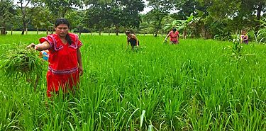 La exclusin digital una barrera que golpea el trabajo de las mujeres rurales 