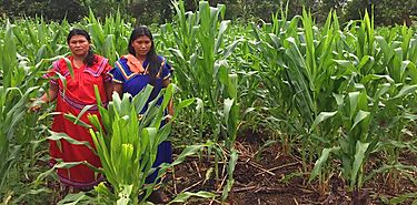 Poblacin rural prioridad en restauracin de ecosistemas