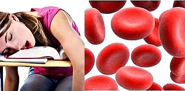  Hierro vital para tu metabolismo