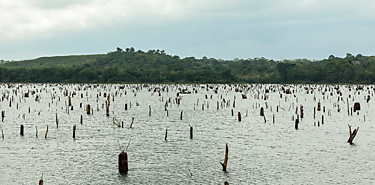 Ms de la mitad de los grandes lagos del mundo pierden agua