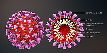 Hombres mayores temen menos al COVID19