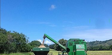 Hay que transformar los  sistemas agroalimentarios