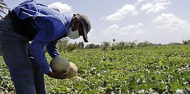 Eliminar el hambre requiere transformar los sistemas alimentarios