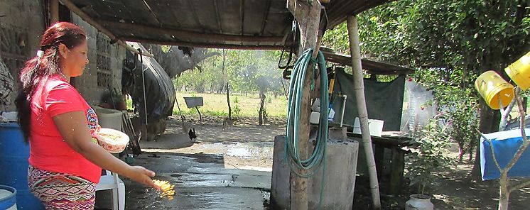 La avicultura empodera a la mujer rural