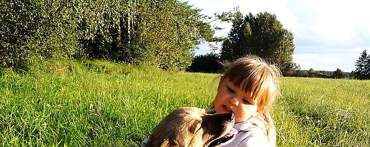 Por qu tu perro te pone ojitos