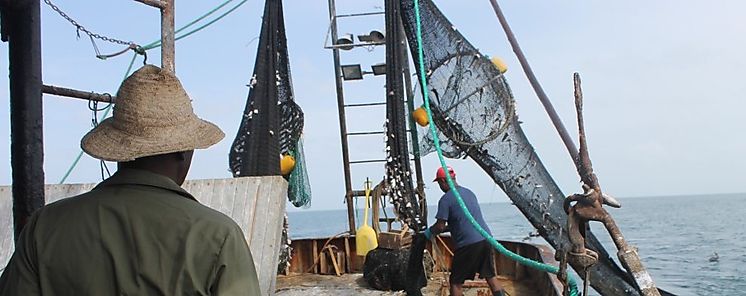 Cocl y Veraguas dialogaron e identificaron prioridades por la Sostenibilidad de la Pesca