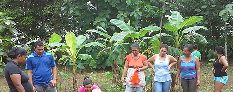 Redes Territoriales de Los Santos realiza siembra de hortalizas en la Comunidad del Bijao