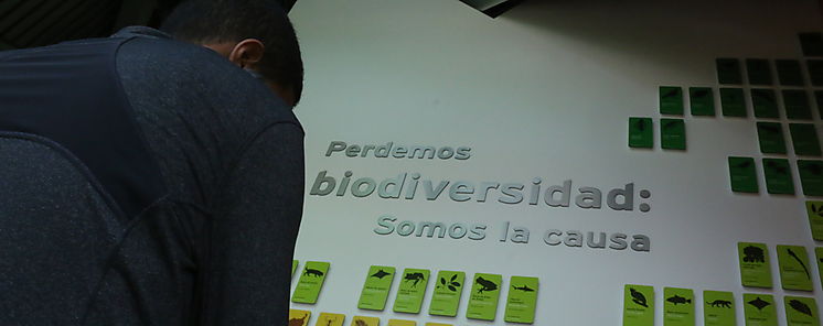 Alianza Mesoamericana por la Biodiversidad y ONU firman acuerdo para promover participacin de empresas