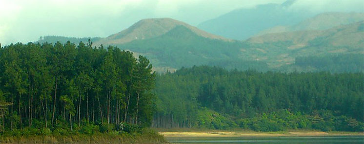 56 aos de la Reserva Forestal La Yeguada