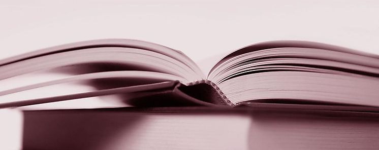 Alcalda de Panam lanza la XVIII Feria Municipal del Libro el Arte y la Cultura