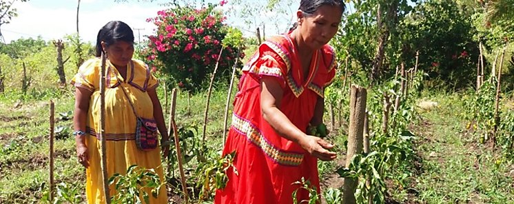 Empoderar a mujeres rurales es esencial para un futuro prspero ONU