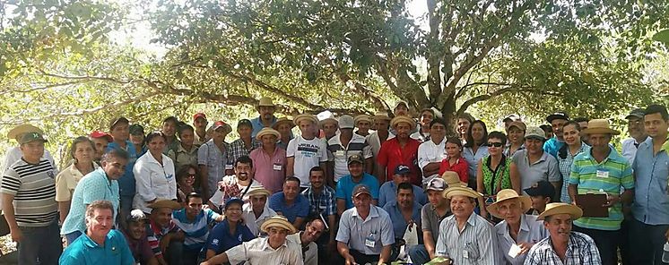 Productores y Tcnicos de Los Santos reciben Capacitacin en Manejo de Cafetales