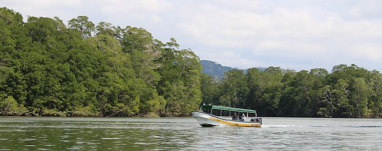 MiAmbiente interpone denuncia por posible afectacin de recursos naturales en Darin 