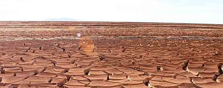 Da Mundial del Suelo