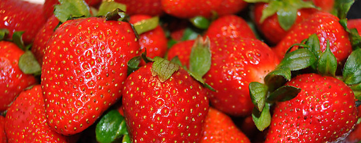 Un nuevo biofertilizante mejora las propiedades nutritivas de las fresas