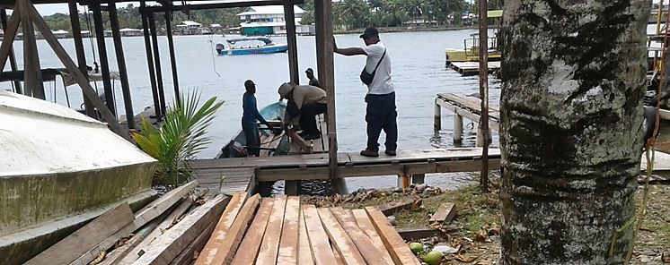 Decomiso de madera en manglares de Isla Bastimento