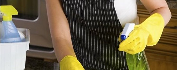 Polvo domstico puede influir en el tamao de los nios