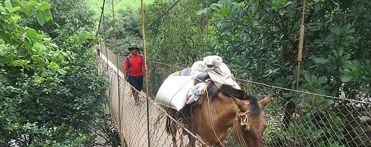 Llano opo contar con nuevo puente sobre el ro Tabasar