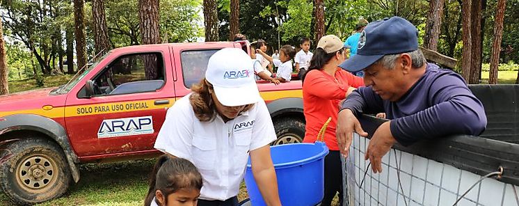 Cosechan Tilapia en la Regin Comarcal de Veraguas