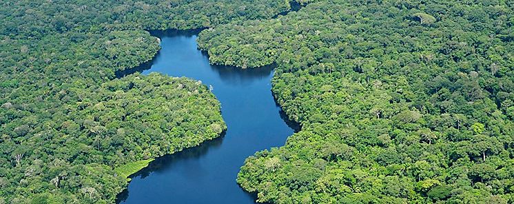 BID anuncia creacin de fondo para proteger Amazonia