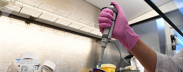 Cualquier edicin gentica que hagamos en un embrin pasar de generacin en generacin