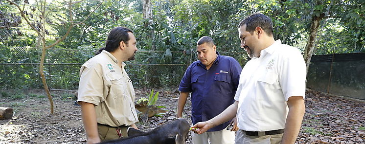 MiAMBIENTE y APPC estudian instalar centro de atencin para animales silvestres 