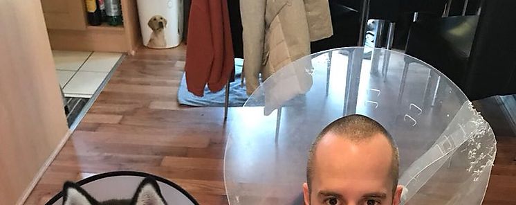 La transmisin de enfermedades entre animales y humanos