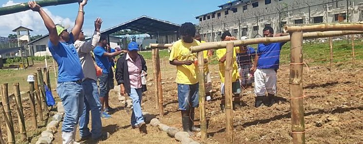 INADEH forma a privados de libertad en Bocas del Toro INADEH forma a privados de libertad en Bocas del Toro
