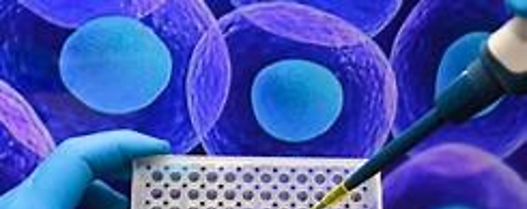 Absorption Systems Panam realiza el lanzamiento de un sistema innovador de disolucin y absorcin de frmacos