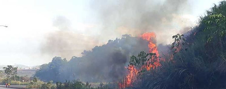  Panam Oeste inicia campaa contra incendios de masa vegetal