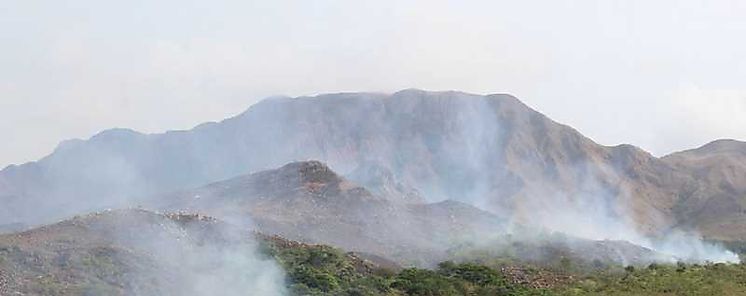 Cambio climtico amenaza a la biodiversidad advierte estudio