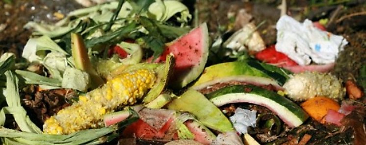Ms de 30 por ciento de alimentos se desperdician en Latinoamrica