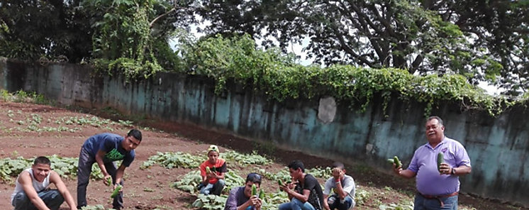 Estudiantes del IPHE Panam Oeste aprenden tcnicas de granjas ecolgicas