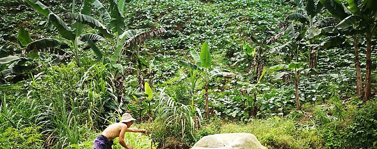 Productores de Herrera encuentran en la Acuicultura un medio para obtener beneficios econmicos y sana alimentacin