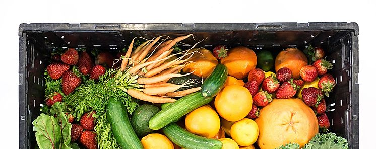 Recomiendan alimentos saludables y de bajo impacto ambiental