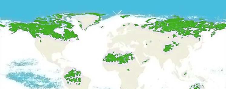 Mapa global de regiones con ecosistemas intactos