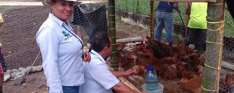 Cursos de barbara y cra de aves de corral en el Centro Penitenciario Deborah Bocas del Toro