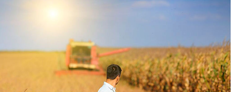 FAO destaca el potencial de la IA para transformar los sistemas agroalimentarios