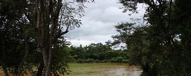 Se reanudan labores de mejoras a la toma de agua en Parita