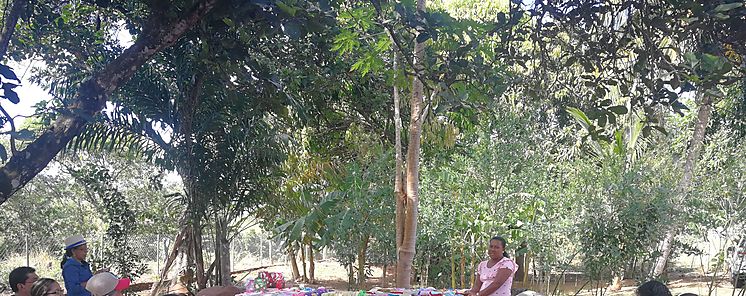 Desarrollo Rural culmina curso dirigido a Mujeres Rurales de Cocl 