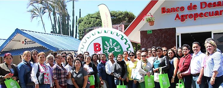 Sucursal del Banco de Desarrollo Agropecuario en Boquete suma a ms mujeres agro emprendedoras 