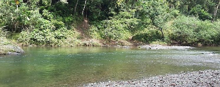 Gobernacin de Coln prohbe que se utilice el ro Gatn como balneario