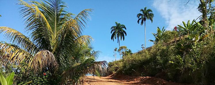 En Bocas del Toro se trabaja en varios de frentes como parte del Operativo de Verano