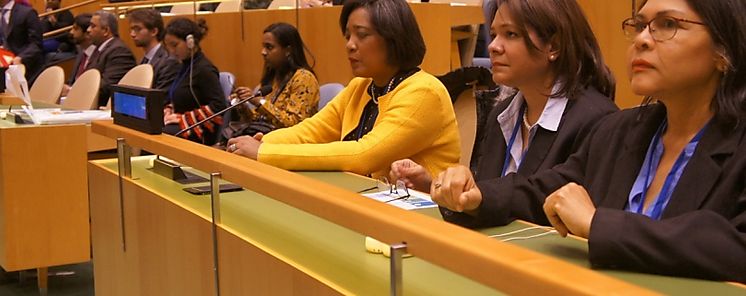 INAMU present las acciones ejecutadas en Panam ante la ONU