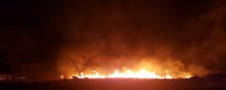 Aumentan los incendios de masa vegetal 