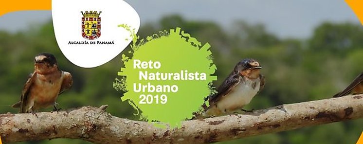 Biodiversidad de ciudad capital participa en concurso internacional 