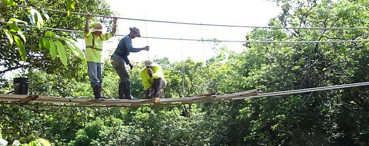 En fase final trabajos del puente zarzo sobre el ro Kiki en la comarca Ngbe Bugl