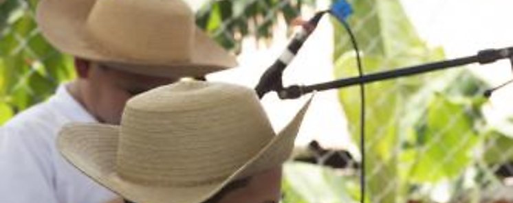 Día Internacional del Músico Día Internacional del Músico