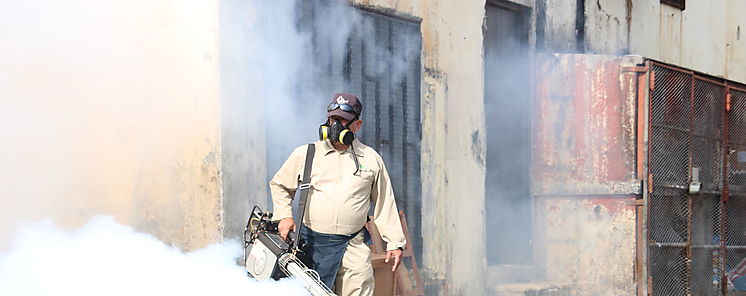 Eliminar Criaderos clave para evitar el Dengue